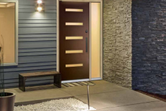 Entry door contemporary